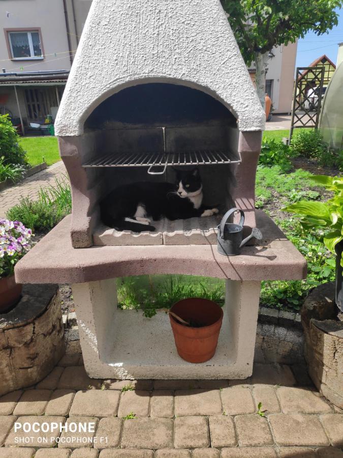 Pokoje Goscinne Moli Łeba Exterior foto